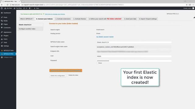 Create an Elastic Elasticsearch index (WPSOLR plugin) смотреть онлайн