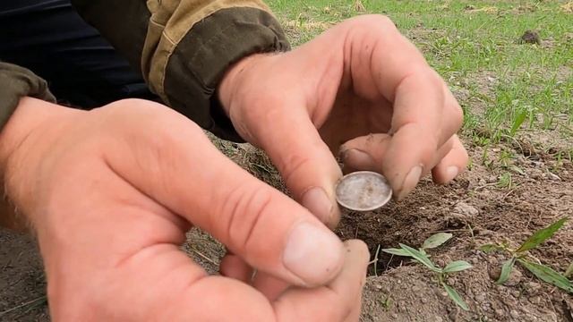 Поиск клада. Монеты прут одна за другой. Лучший металодетектор Treasure hunting смотреть онлайн