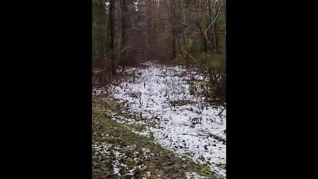 Первый, пробный выход в угодья. смотреть онлайн