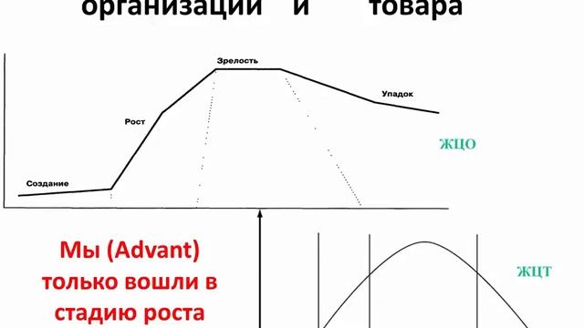 Бизнес в сфере онлайн туризма