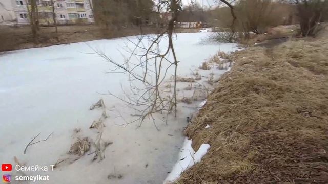 ПРУДЫ: Пруд у дома для рыбалки, купания и отдыха. Искусственный пруд с рыбой. БЕРЕГИТЕ ВОДОЁМЫ !!! смотреть онлайн