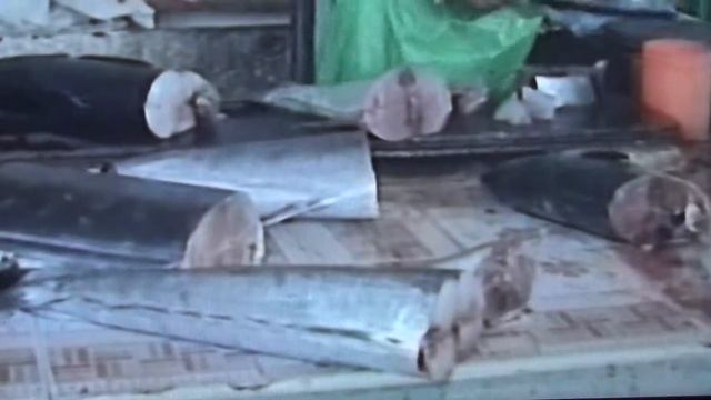 Рыба, рыба,рыба из моря на прилавок смотреть онлайн