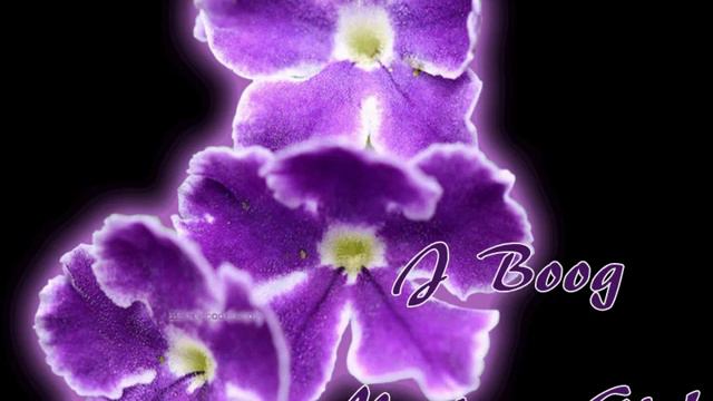 J Boog - Mystery Girl смотреть онлайн