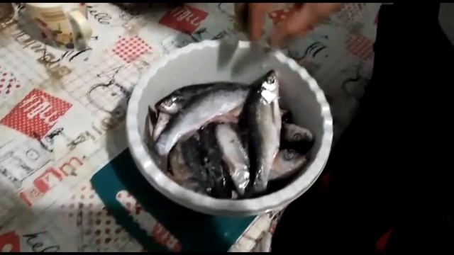 сушеный чебак, разделка чебака. смотреть онлайн