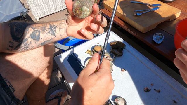 Abalone Catch & Cook, How to Prepare Them and Cooking Tips. Ep.26 BlissNiques смотреть онлайн