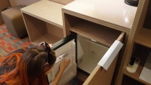 Отель Амбассадор Санкт-Петербург. Где остановиться в Санкт - Петербурге? Обзор отеля Амбассадор.