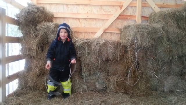 Ферма Тимофея. Рассказ про сено хранилище