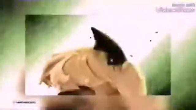 Клип между нами любовь Леди баг и Кот нуар смотреть онлайн