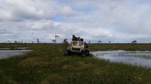 Вездеход Странник_болото