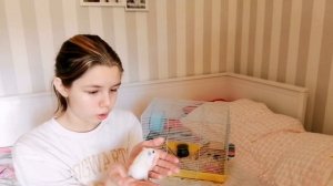 Выгуливаю хомяка❤️ Уход за джунгарским хомяком! #хомяк #уходзахомяком #джунгарик #джунгарскийхомяк