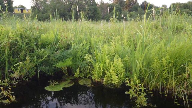 Полёт учебный 40 FULL HD смотреть онлайн