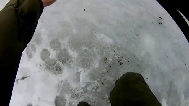 Рыбалка на донки на средней волге