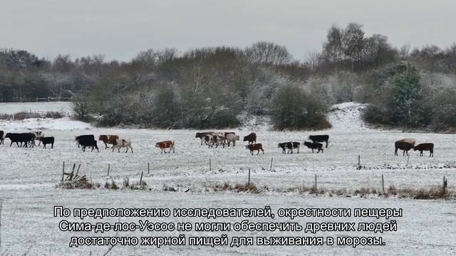 Ученые выдвинули гипотезу о способе древних людей переживать суровые зимы