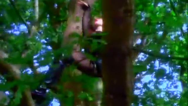 Niagara - Pendant Que Les Champs Brûlent.mp4