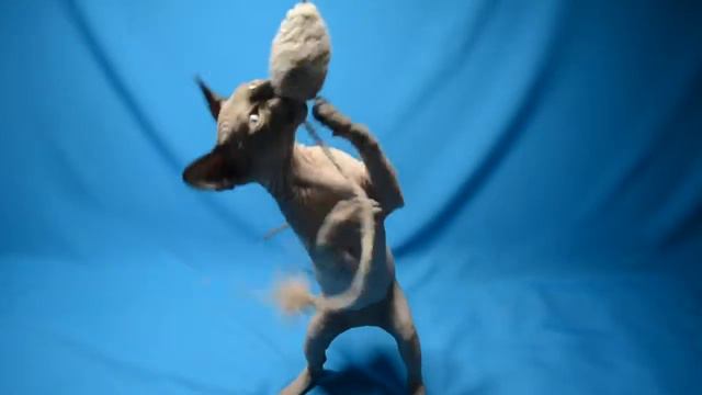 Baby Joy Bell смотреть онлайн