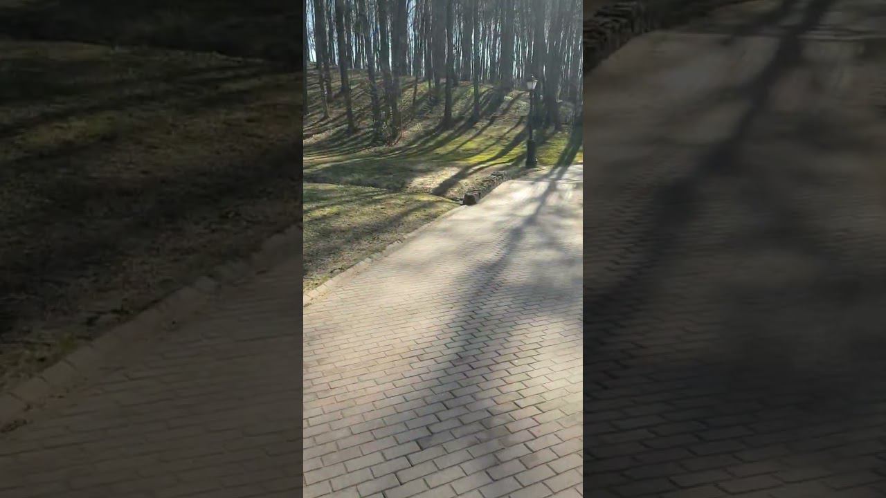 #спорт #бег #зож #тренировки #весна смотреть онлайн