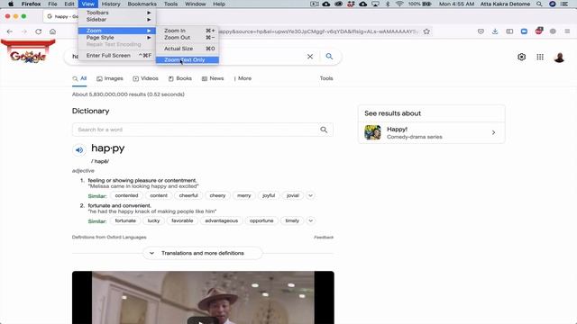 8. How to maximize, minimize and reset text size on a browser. смотреть онлайн