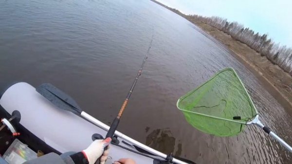 Осенняя рыбалка на Северной Двине. Судак и щука