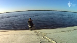 Как ловить СЕЛЁДКУ на ВОЛГЕ? Самые уловистые оснастки