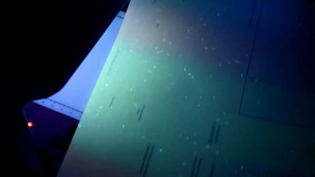 Диплом бакалавра с отличием 2013-2021 г.г. Россия, Гознак смотреть онлайн