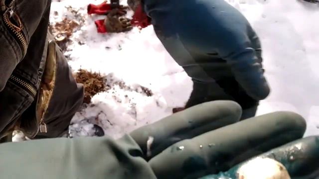 Не вибита дорога. коп на теренах Львівщини смотреть онлайн