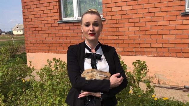 Ответ 4: предмет, вид и форма договора дарения кролика смотреть онлайн
