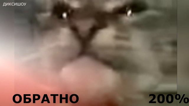 кит ты маму мав (скорость 999) смотреть онлайн