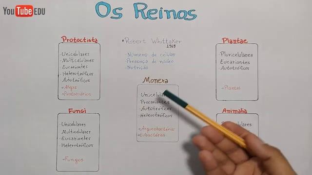 Os Cinco Reinos dos Seres Vivos - Principais características | Resumo completo смотреть онлайн
