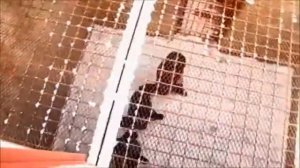 Сергей Наговицын - Потерянный Край