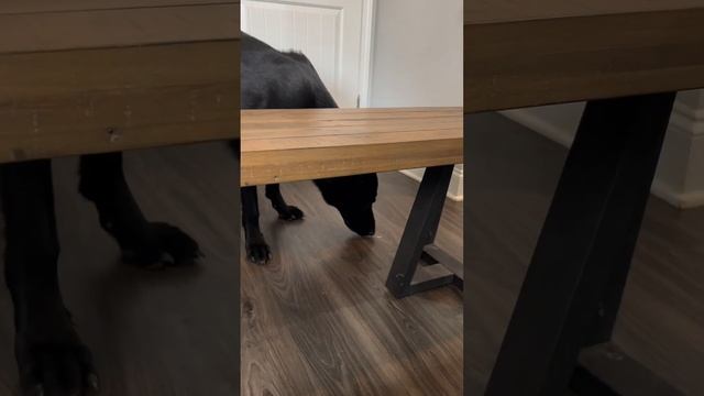 Snack Time смотреть онлайн