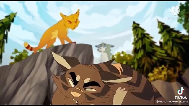 //Подборка видео//коты воители//тик ток// смотреть онлайн