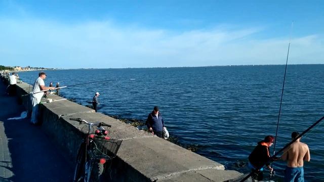 Ловля пеленгаса в Бердянске #2 смотреть онлайн