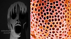 Трипофобия это: