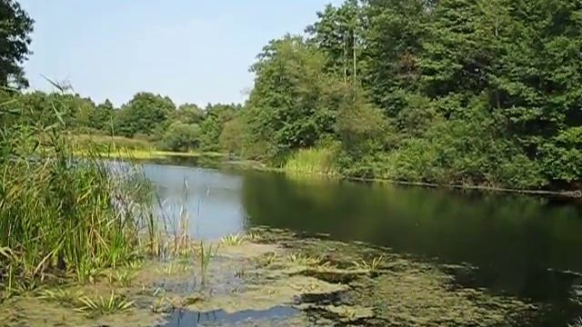 Река Сула в Свиридовке, купальня смотреть онлайн
