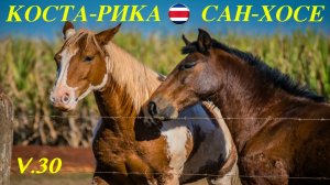 30. Коста-Рика. Сан-Хосе. Прогулка по городу. Вулкан Поас. Катание на лошадях.