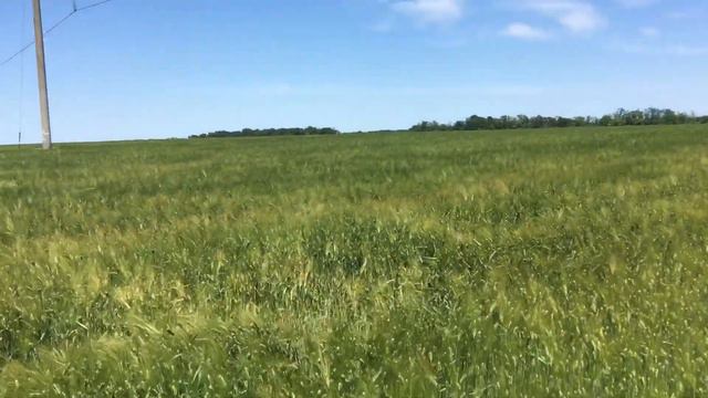 Прогноз на лигу наций Голландия-Англия ,точный счёт смотреть онлайн