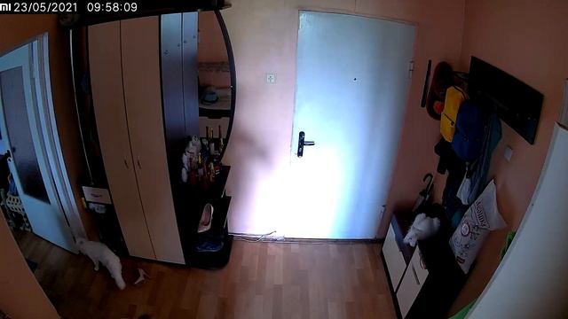 Тухлі. смотреть онлайн