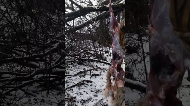 Разделка зайца как не надо смотреть онлайн