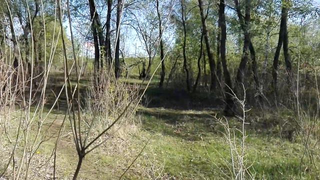 Поляна Свободи смотреть онлайн