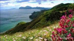 Хор сестер Иоанновского Патриаршего монастыря (г.Санкт-Петербург) - Духовные Песнопения