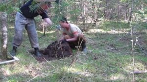 Как снимать дёрн