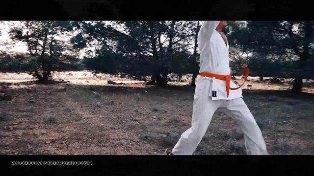 JION-KARATE KATA ( CINEMATIC Footage video ) смотреть онлайн