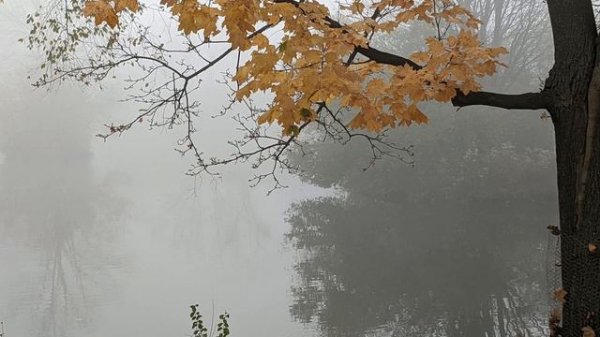 Timur Ismagilov - Shimmering Light