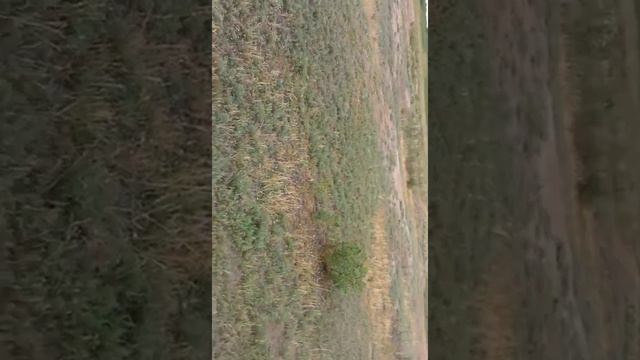 Коп в близи Алматы shtormik смотреть онлайн