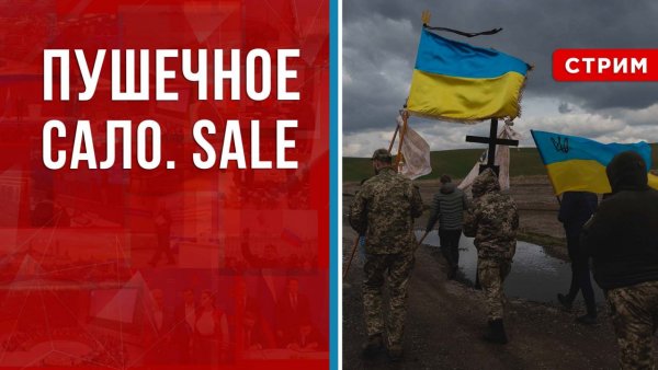 Пушечное сало. SALE [Борис Первушин. СТРИМ]