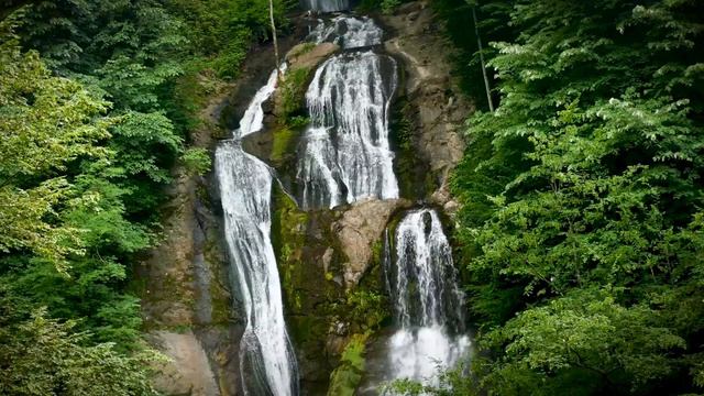 ЦАРСТВИЕ БОЖИЕ СИЛОЙ БЕРЕТСЯ. 11.02.2023. смотреть онлайн