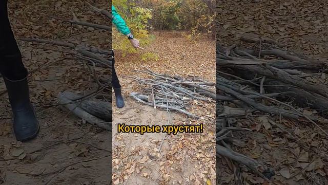 Водный туризм. Мой первый поход, как это было. смотреть онлайн