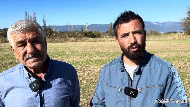 MİLYON DOLARLIK VİLLALAR ARASINDA KOYUNCULUK !!! BOL SÜTLÜ KOYUNLAR VE ÇAPAR KÖPEKLERİ