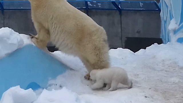 Делай вместе с мамой, делай как мама ....... смотреть онлайн