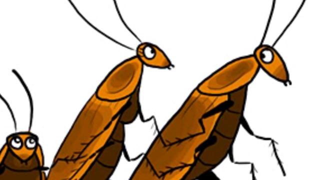 Как Избавиться от Тараканов смотреть онлайн